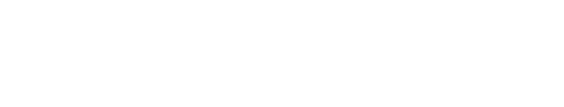 freccia logo